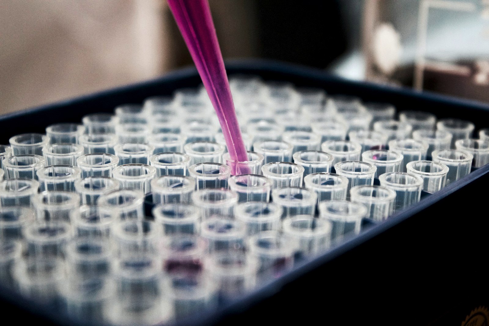 Diagnostic Kits & Rapid Tests